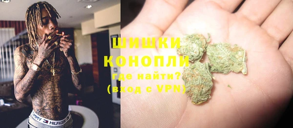 стаф Баксан
