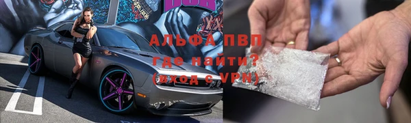 стаф Баксан